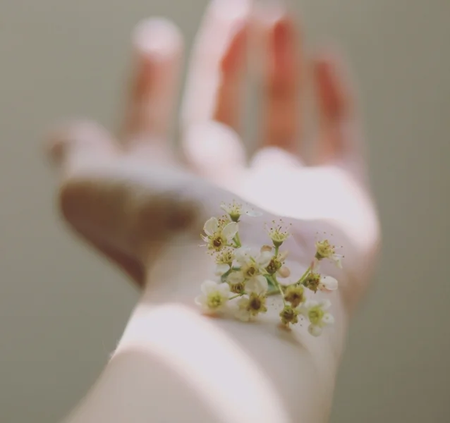 Cabinet de sophrologie d'Anne Vincent à Nancy - espace de détente et de bien-être